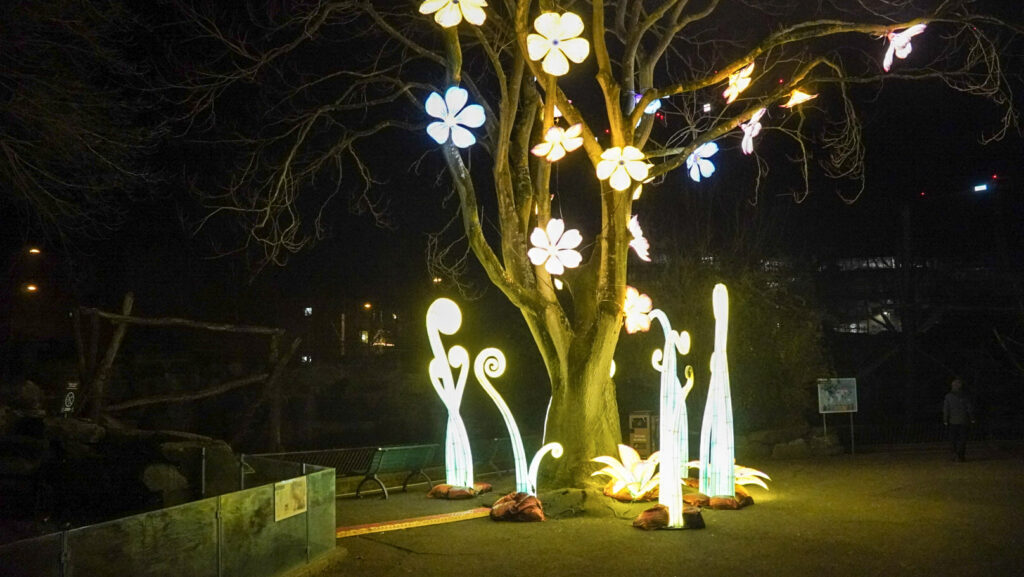 China Lights im K&ouml;lner Zoo