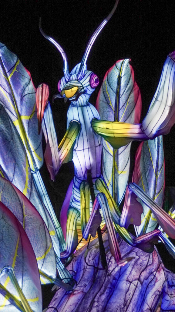 China Lights im K&ouml;lner Zoo