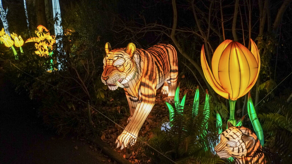 China Lights im K&ouml;lner Zoo