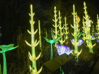 China Lights im K&ouml;lner Zoo