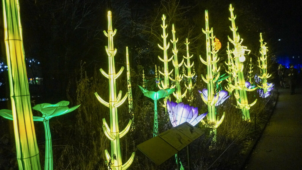 China Lights im K&ouml;lner Zoo
