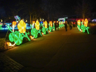 China Lights im K&ouml;lner Zoo