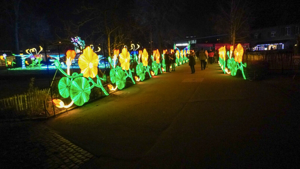 China Lights im K&ouml;lner Zoo