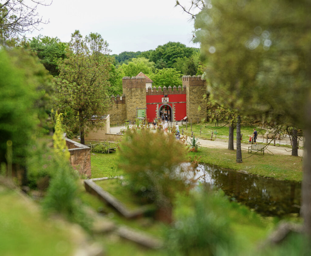 El Mundo Fantasia - Mondo Verde