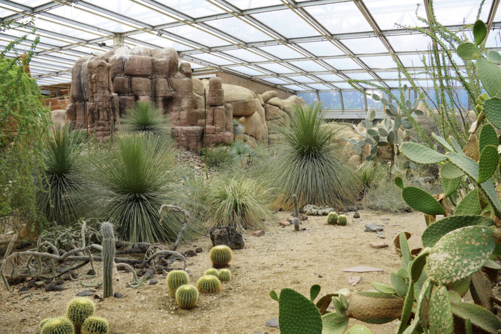 Burgers' Zoo Burgers' Zoo