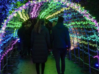 Herbstlichter Brückenkopfpark Jülich Herbstlichter Brückenkopfpark Jülich
