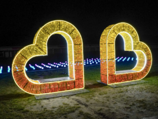 Garden of Lights Garden of Lights
