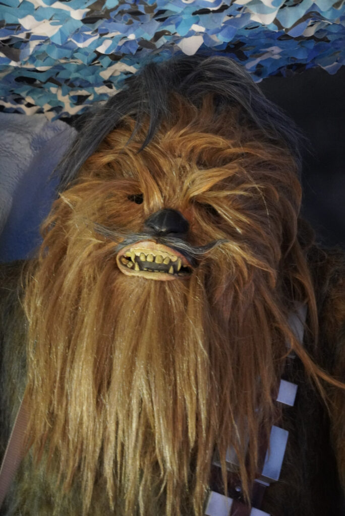 The Fans Strike Back Frankfurt