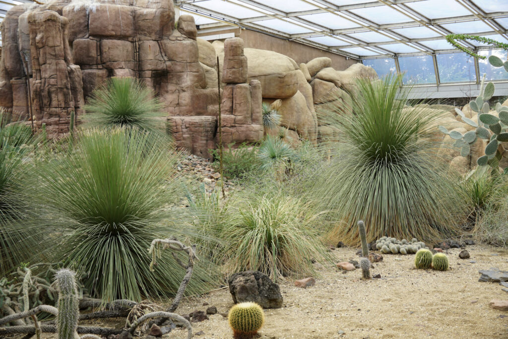 Burgers' Zoo Burgers' Zoo