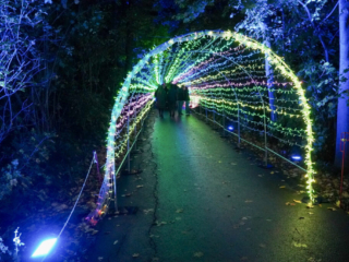 Herbstlichter Brückenkopfpark Jülich Herbstlichter Brückenkopfpark Jülich