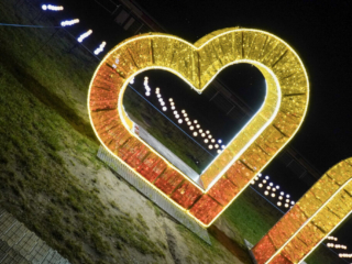 Garden of Lights Garden of Lights
