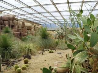 Burgers' Zoo