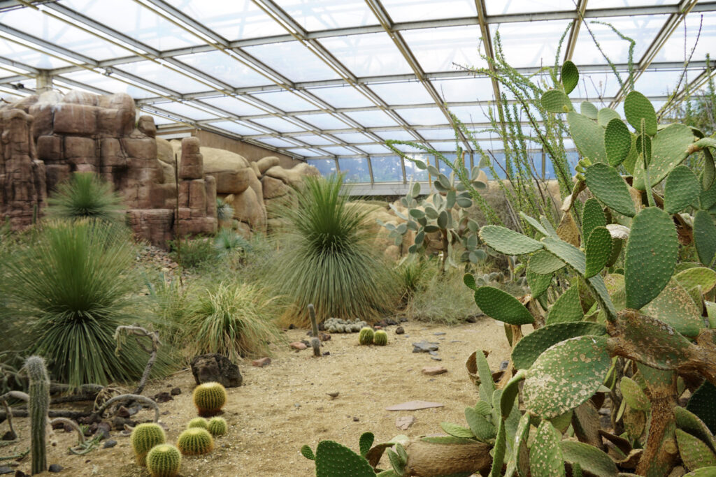 Burgers' Zoo Burgers' Zoo