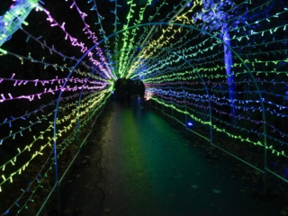 Herbstlichter Brückenkopfpark Jülich Herbstlichter Brückenkopfpark Jülich