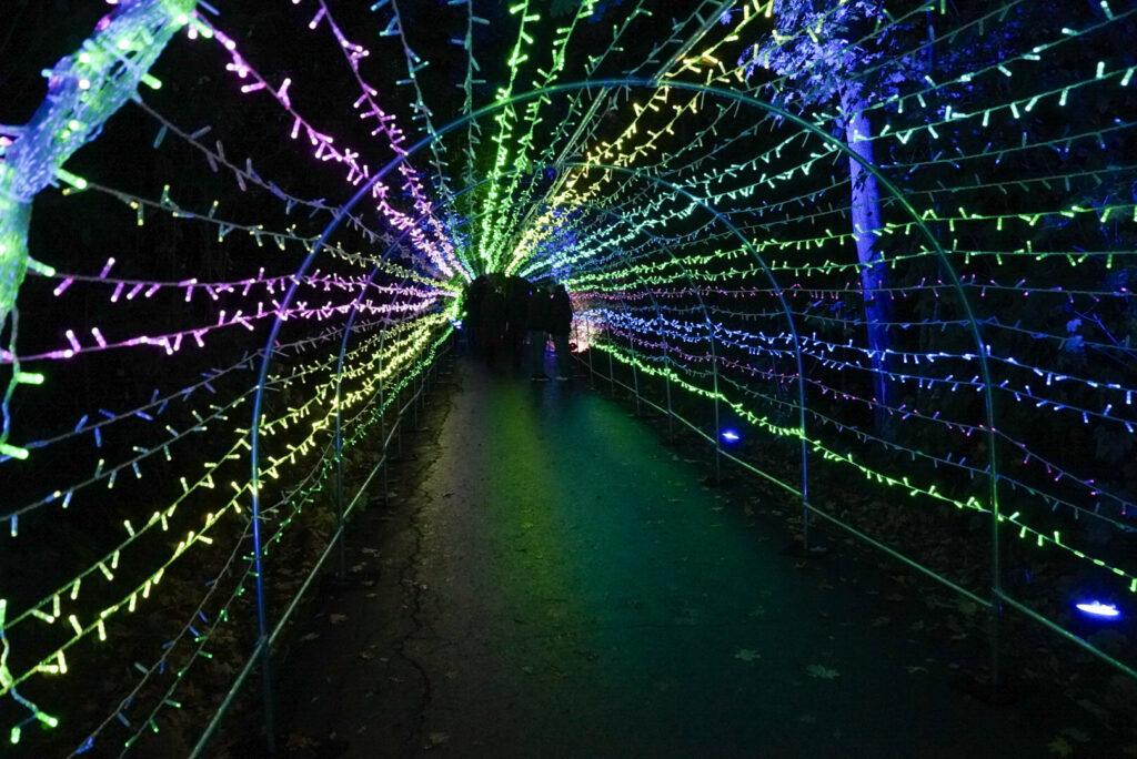Herbstlichter Br&uuml;ckenkopfpark J&uuml;lich