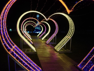 Garden of Lights Garden of Lights