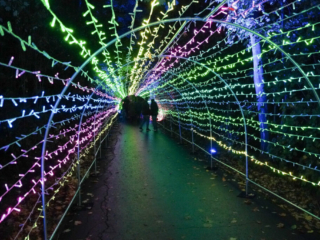 Herbstlichter Brückenkopfpark Jülich Herbstlichter Brückenkopfpark Jülich
