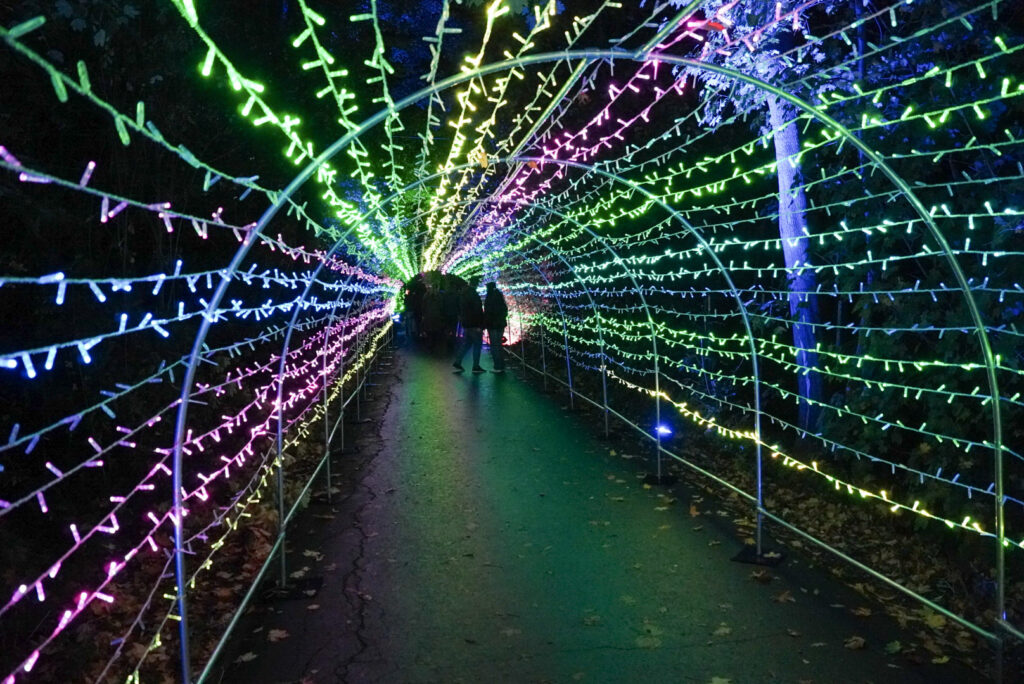Herbstlichter Br&uuml;ckenkopfpark J&uuml;lich