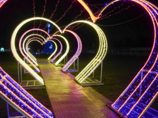 Garden of Lights Garden of Lights