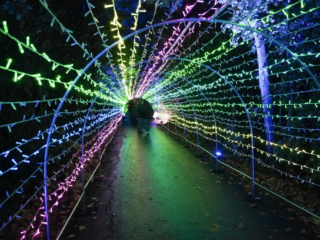 Herbstlichter Brückenkopfpark Jülich Herbstlichter Brückenkopfpark Jülich
