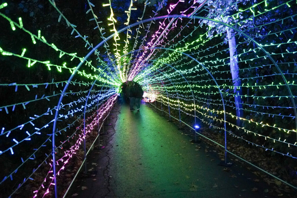 Herbstlichter Br&uuml;ckenkopfpark J&uuml;lich