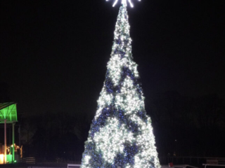 Garden of Lights Garden of Lights