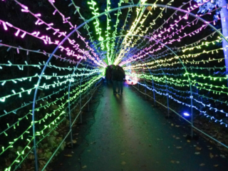 Herbstlichter Brückenkopfpark Jülich Herbstlichter Brückenkopfpark Jülich