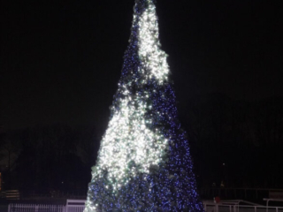 Garden of Lights Garden of Lights
