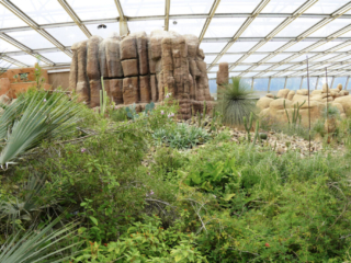 Burgers' Zoo