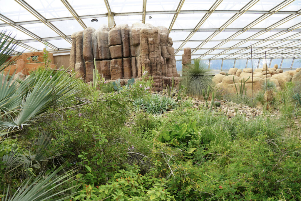 Burgers' Zoo Burgers' Zoo