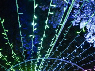 Herbstlichter Brückenkopfpark Jülich Herbstlichter Brückenkopfpark Jülich