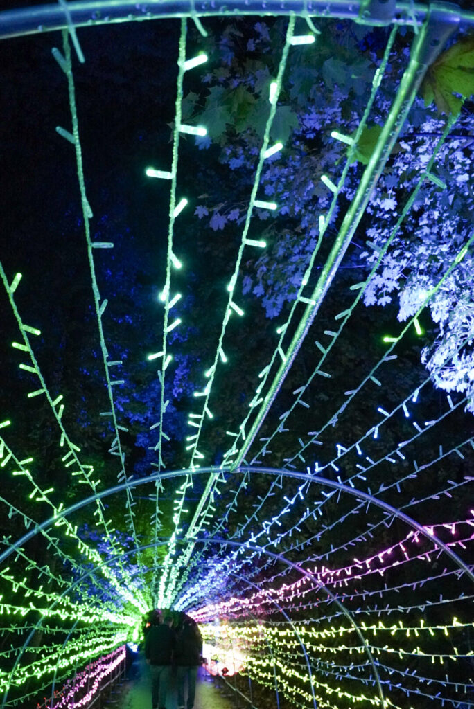 Herbstlichter Br&uuml;ckenkopfpark J&uuml;lich