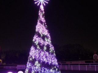 Garden of Lights Garden of Lights