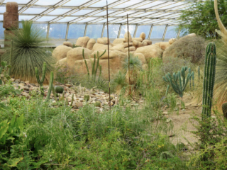 Burgers' Zoo