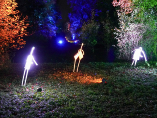 Herbstlichter Brückenkopfpark Jülich Herbstlichter Brückenkopfpark Jülich