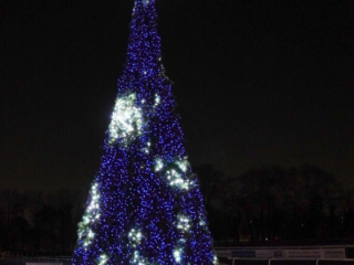 Garden of Lights Garden of Lights