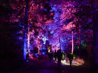 Herbstlichter Brückenkopfpark Jülich Herbstlichter Brückenkopfpark Jülich
