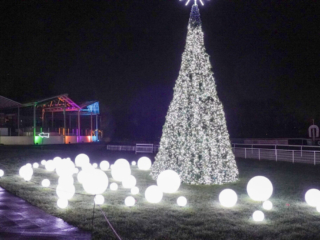 Garden of Lights Garden of Lights