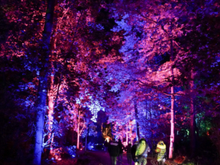 Herbstlichter Brückenkopfpark Jülich Herbstlichter Brückenkopfpark Jülich