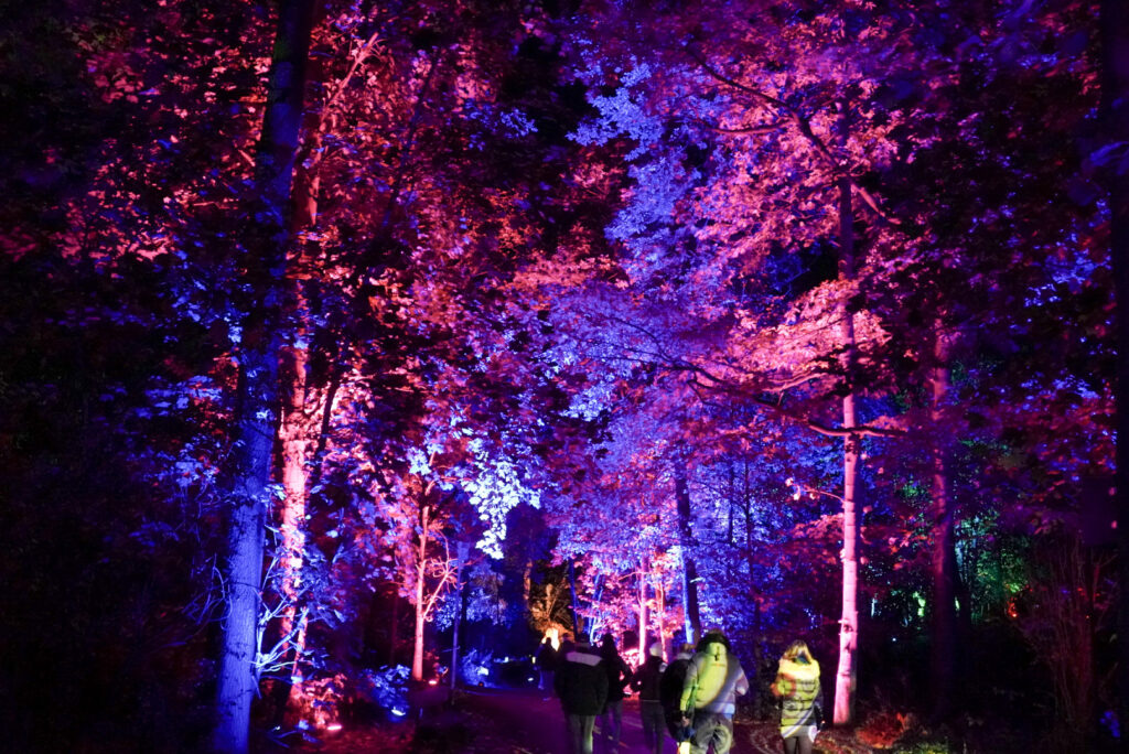 Herbstlichter Br&uuml;ckenkopfpark J&uuml;lich