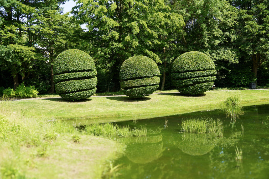 El Mundo Fantasia - Mondo Verde