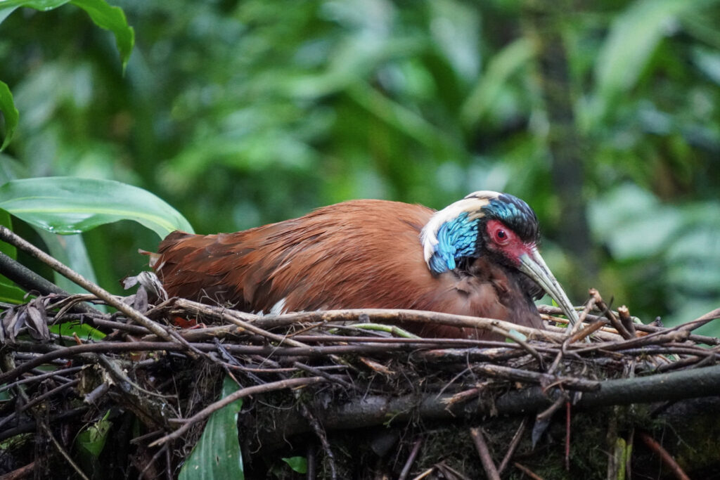 Burgers' Zoo Burgers' Zoo