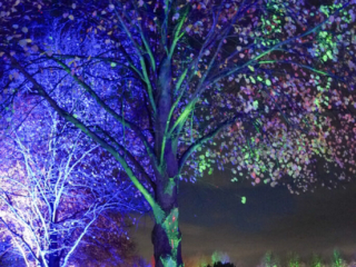 Herbstlichter Brückenkopfpark Jülich Herbstlichter Brückenkopfpark Jülich