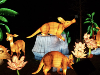 China Lights im K&ouml;lner Zoo