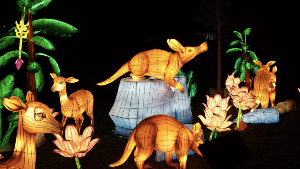 China Lights im K&ouml;lner Zoo