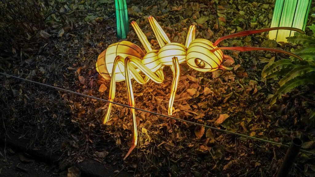 China Lights im K&ouml;lner Zoo