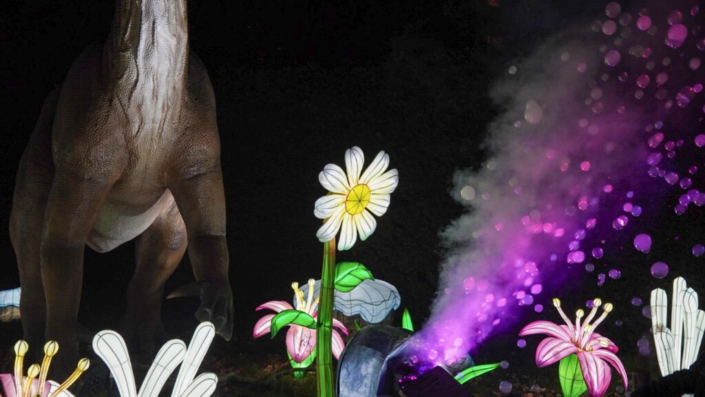 China Lights im K&ouml;lner Zoo