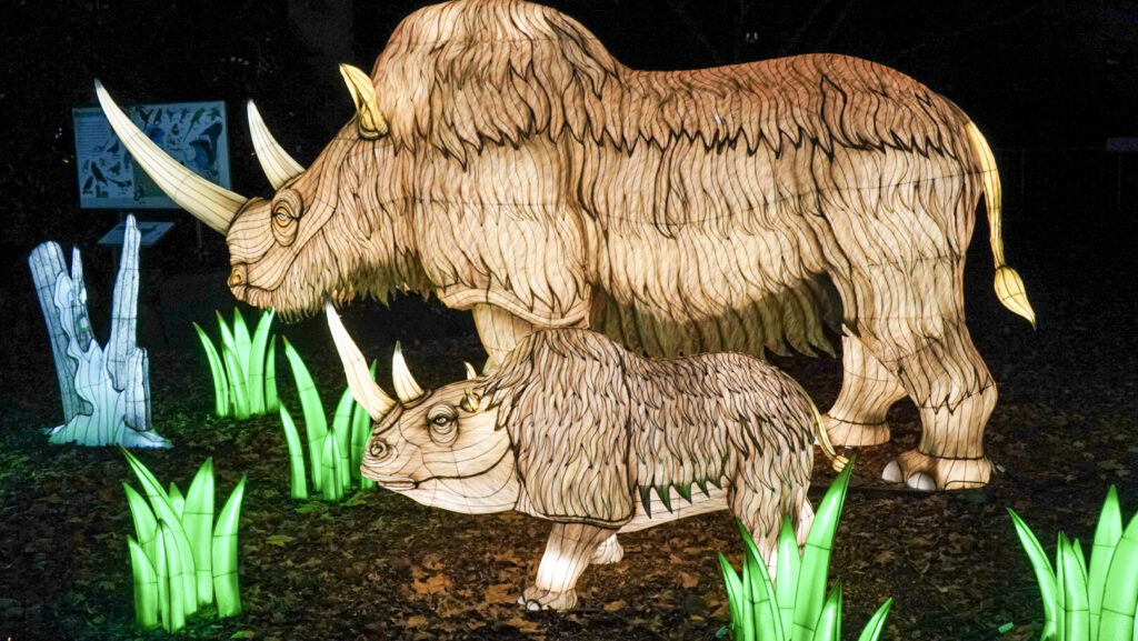 China Lights im K&ouml;lner Zoo