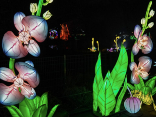 China Lights im K&ouml;lner Zoo
