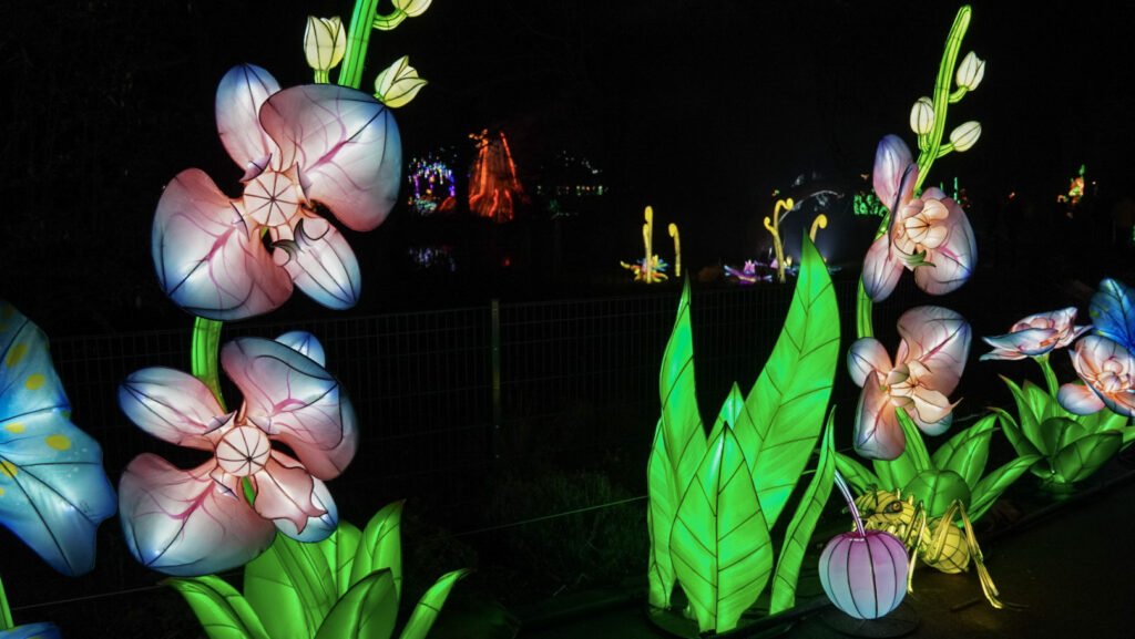 China Lights im K&ouml;lner Zoo